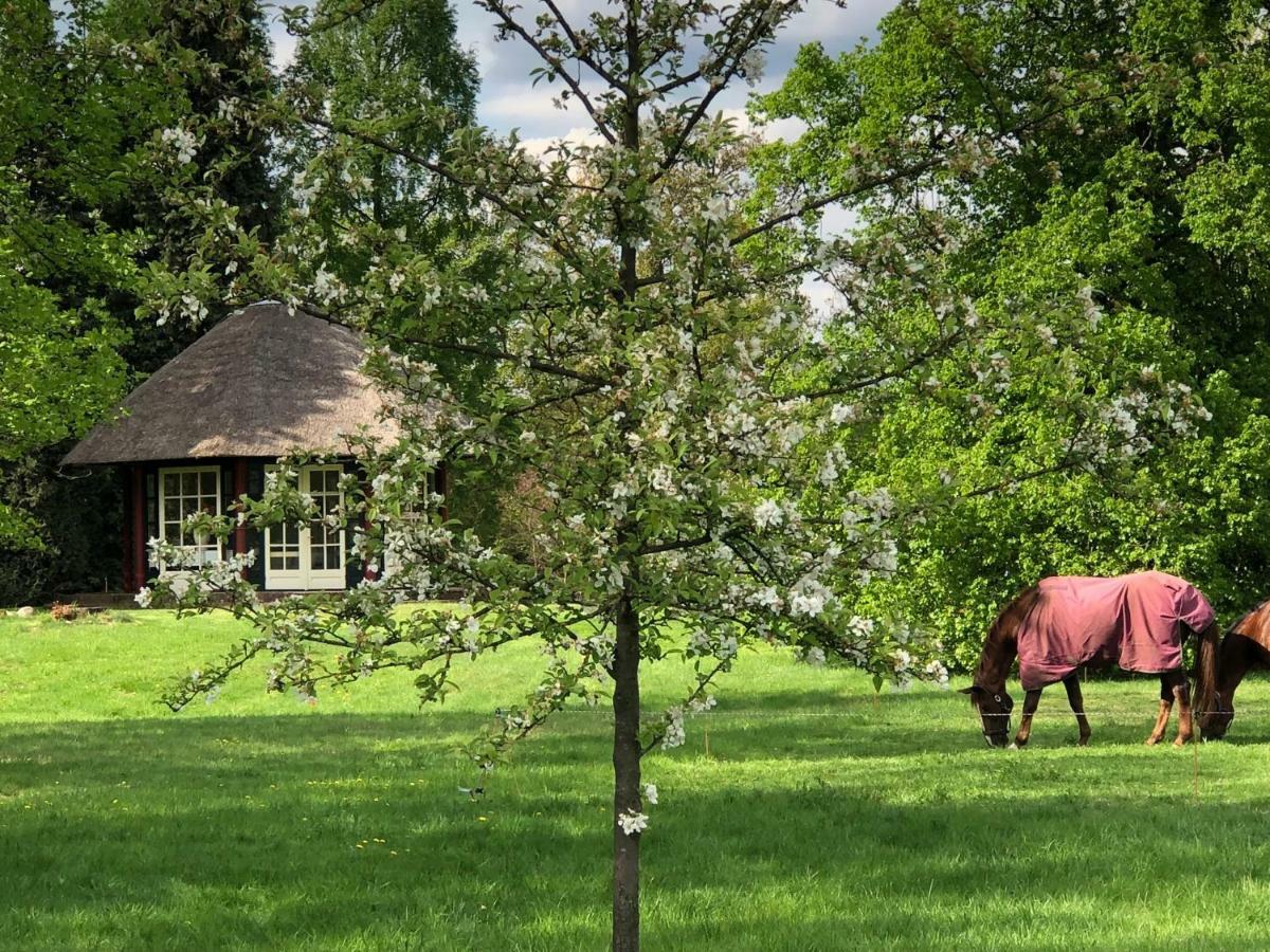 'T Hulzen 55 Or 61 Winterswijk Villa Exterior photo